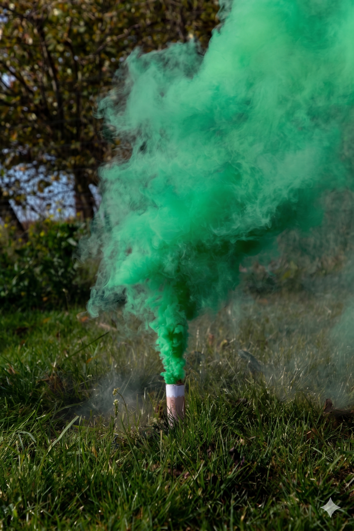SET 5 Green Smoke Grenades 11.5cm