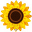 Grabo 56cm Sunflower Figure Foil Balloon