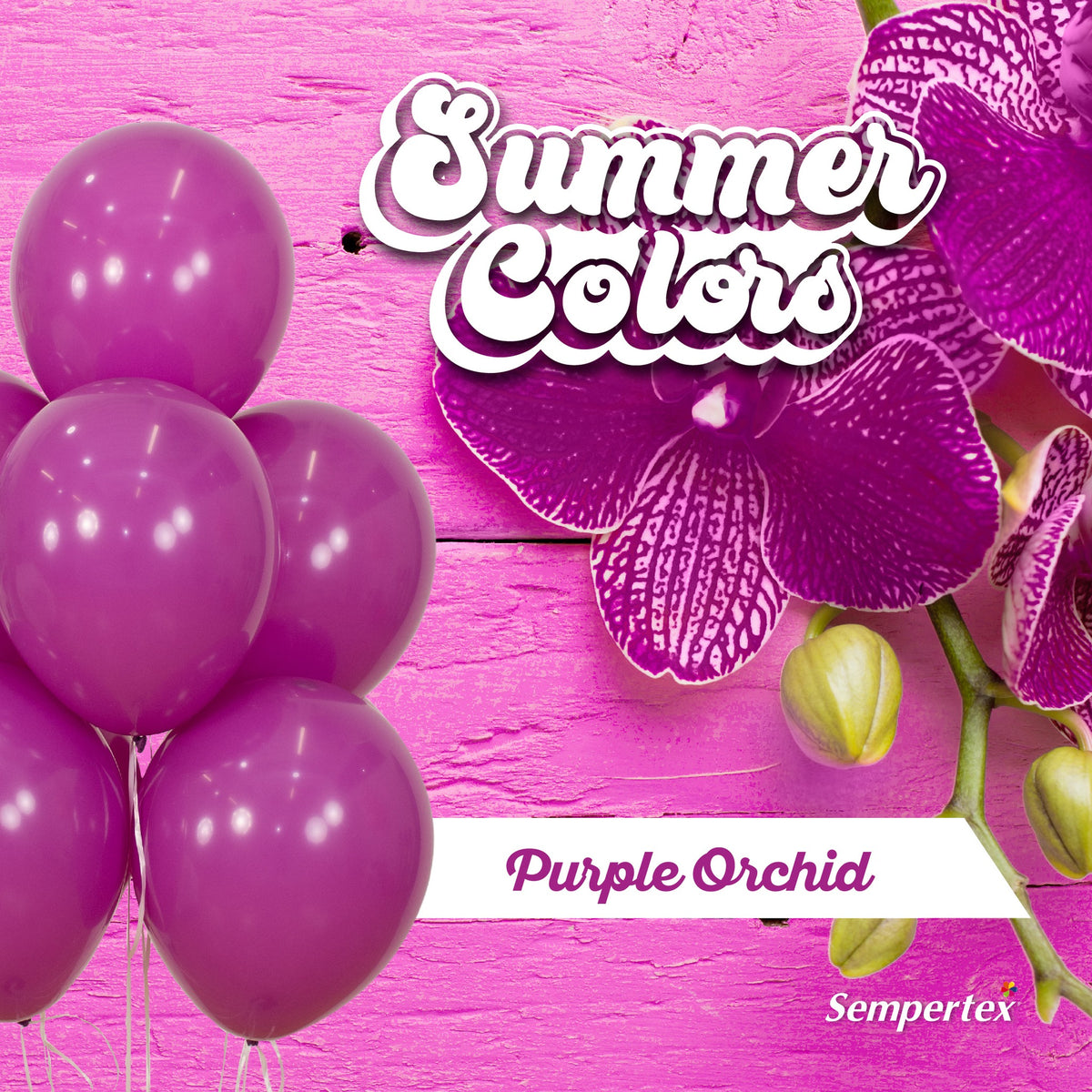 Baloane latex Jumbo Tropical Purple Orchid 60cm