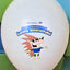 Personalizare Baloane cu Grafica - 6 culori