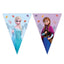 Banner Petrecere Stegulete Frozen Idyllic Wonder