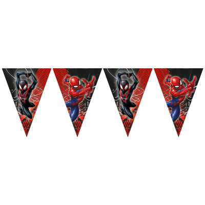 Banner Petrecere Stegulete Spiderman World of Web