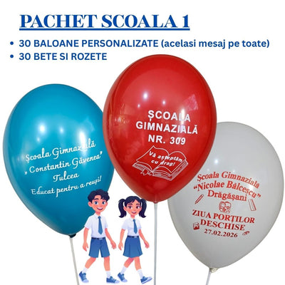 School Package 30 personalized balloons + 30 plastic sticks 202530