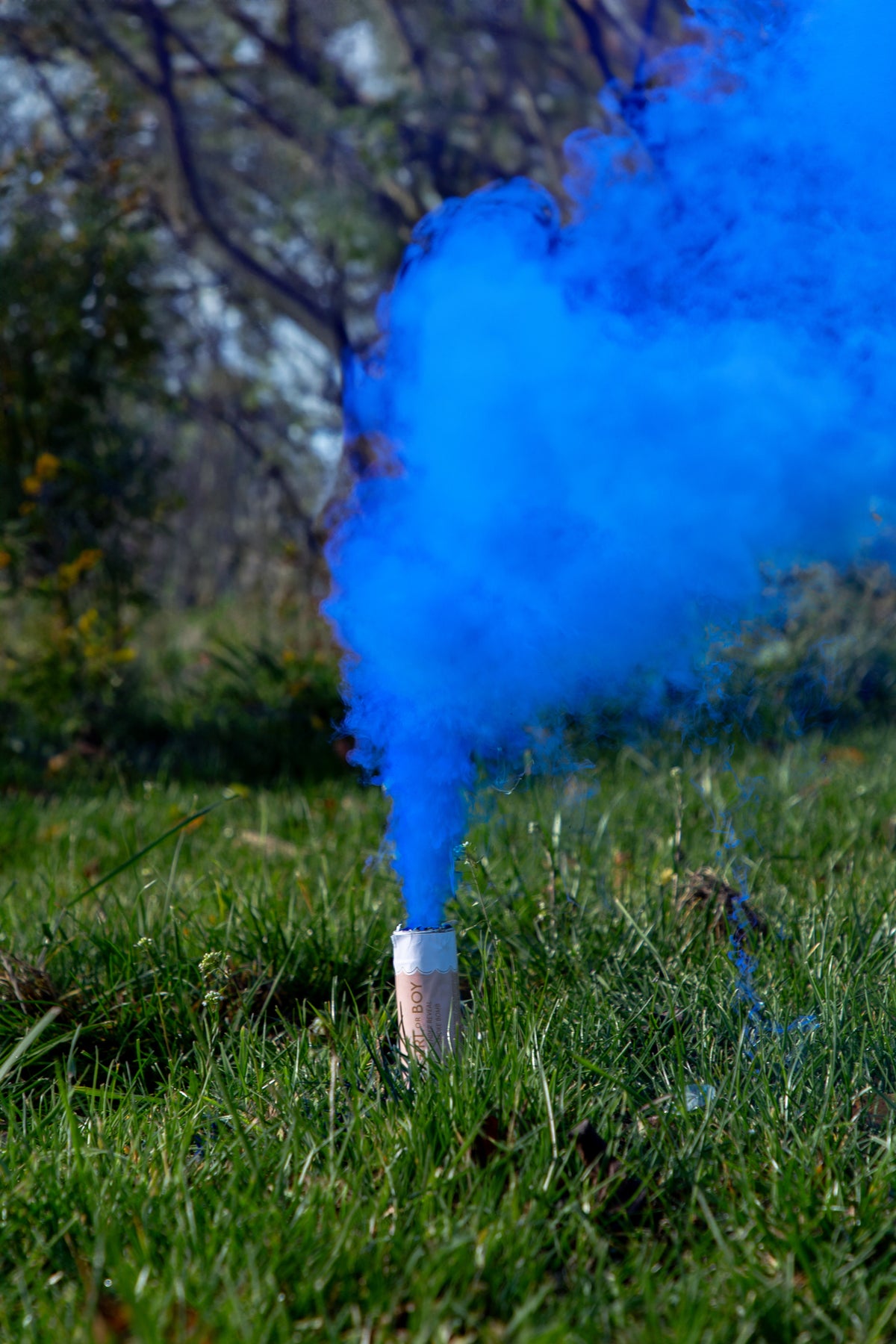 Set of 5 Gender Reveal Smoke Bombs It's a Boy Blue 22.5cm