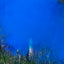 Set of 5 Gender Reveal Smoke Bombs It's a Boy Blue 22.5cm