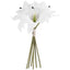 Buchet 6 Crini Albi 30cm