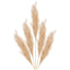 Fir Pampas natural de lux 110cm