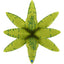Balon Folie Frunze 3D 61cm