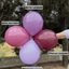 Balloons latex 30cm Burgundy Standard Kalisan 2340