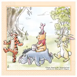Set 20 Servetele Hartie 33x33cm Winnie Loves Nature